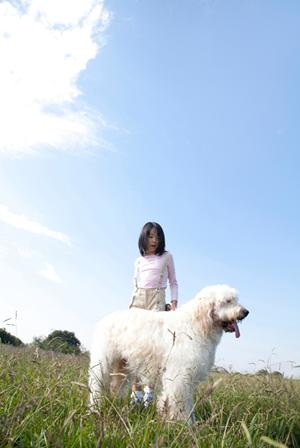 猫用品を通販で購入するのならここ