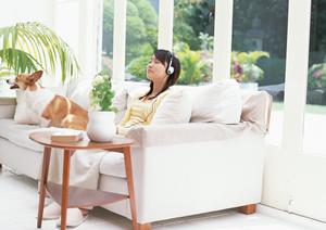 しつけの相談もできる平塚の動物病院