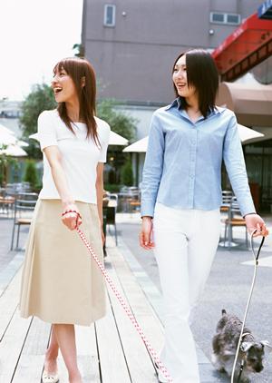 東京都内でフクロウカフェを探す人に